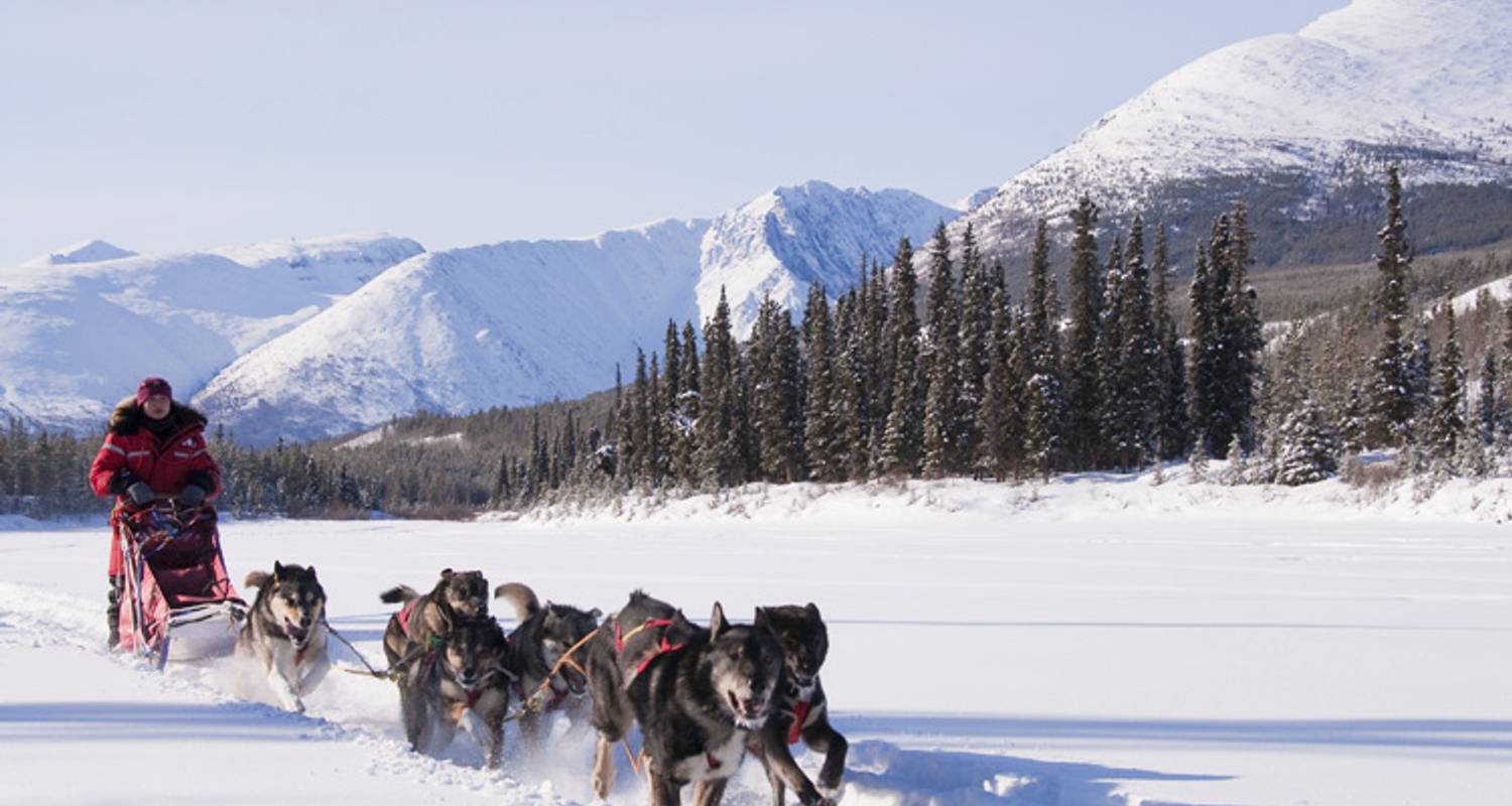 Yukon Wintertraum: Aktive Erlebnisreise - Arctic Range Adventure