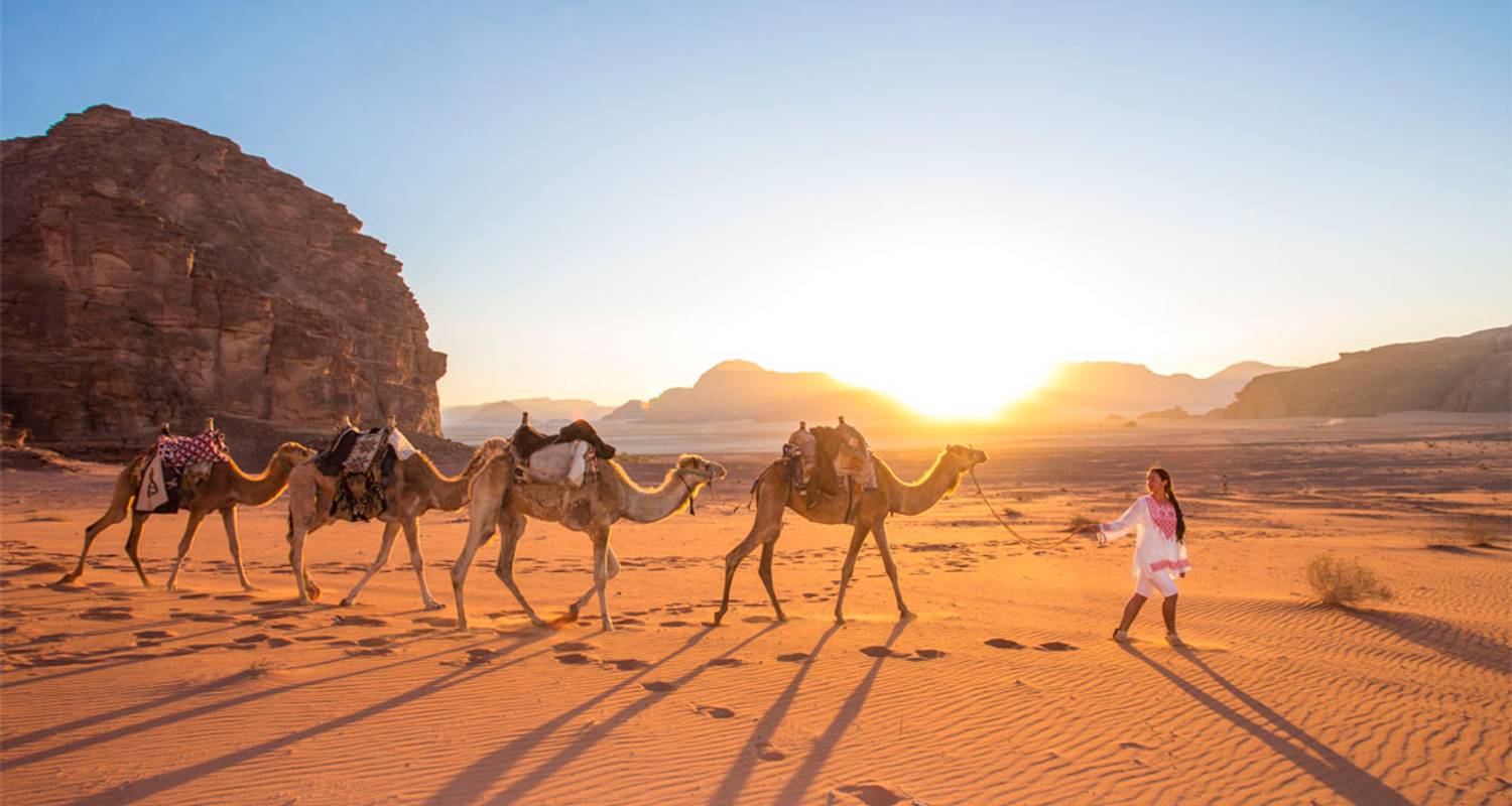 Camel Safari - Ship of the Desert - Why Jordan Tours