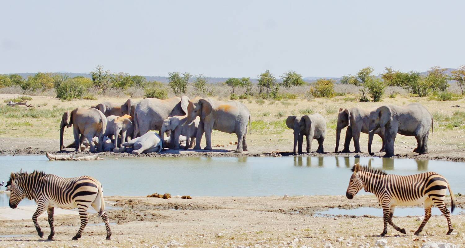 3 jours d'aventure privée à Etosha - Lark Journeys