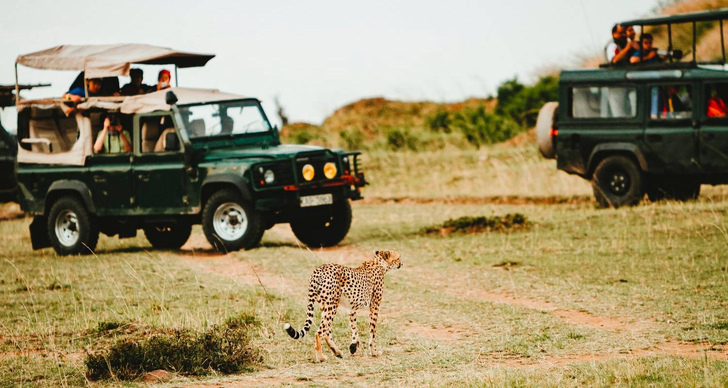 3 Days Masai Mara Safari (in a 4x4 JEEP with FREE NIGHT at Nairobi Hotel) by Bonvoyage Kenya Safaris with 12 Tour Reviews - TourRadar