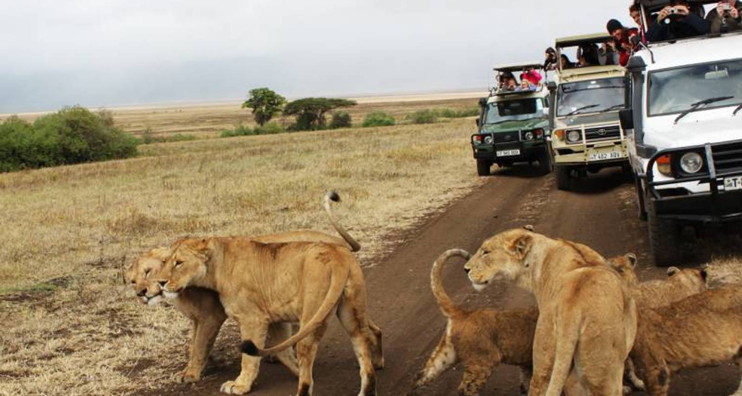 Kenya Round Trip Safari - East Africa Safari Bookers