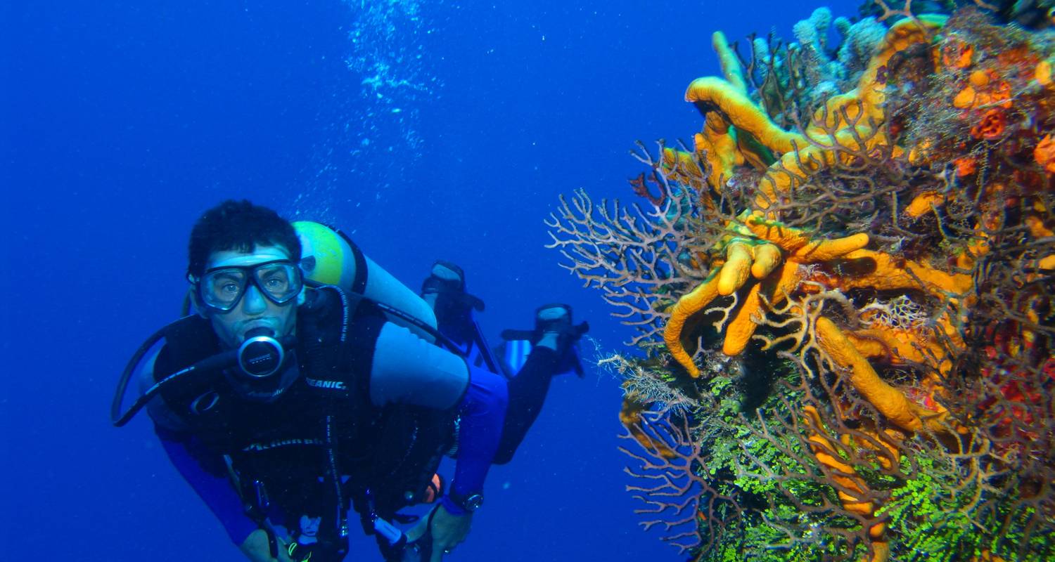 Diving holidays. Дайвинг в Абу Даби. Дайвинг в Крыму. Дайвинг в Египте. Дайвинг в Мармарисе.