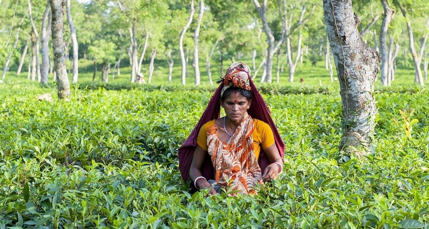 Treasures of Bangladesh