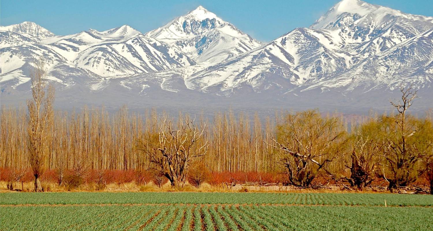 4 - days trip to mendoza & the andes by signature tours with 7