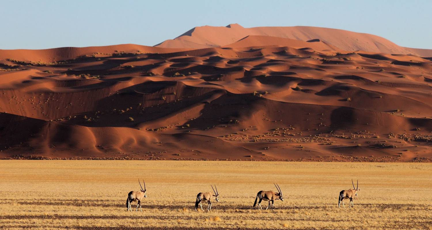 4-Day Sossusvlei & Swakopmund Camping - Discovery Transfers and Tours