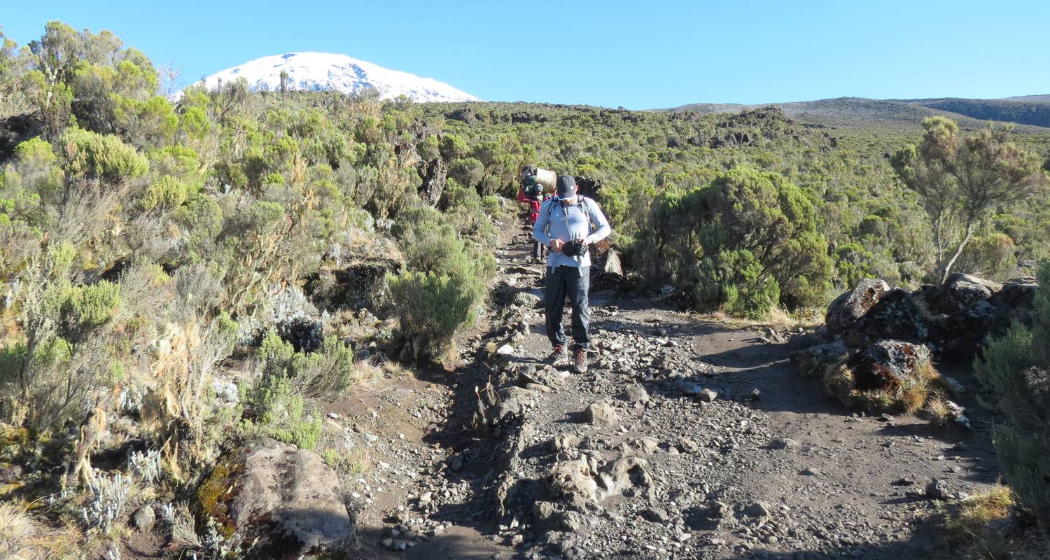 Kilimandscharo Lemosho-Route - 8 Tage - Kilimanjaro Economy Safari