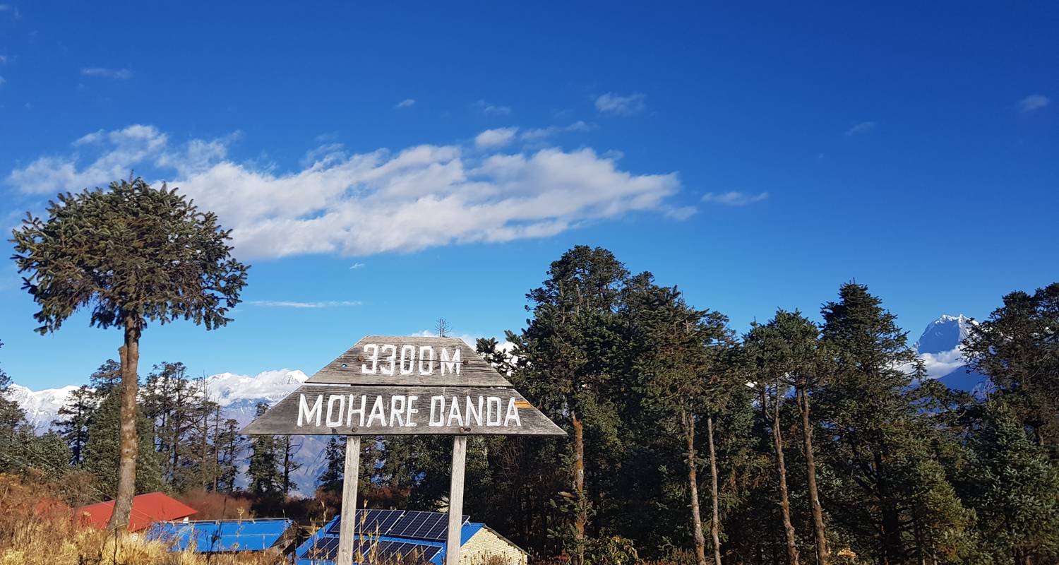Mohare Danda Trek - Trekking Trail Nepal Pvt Ltd