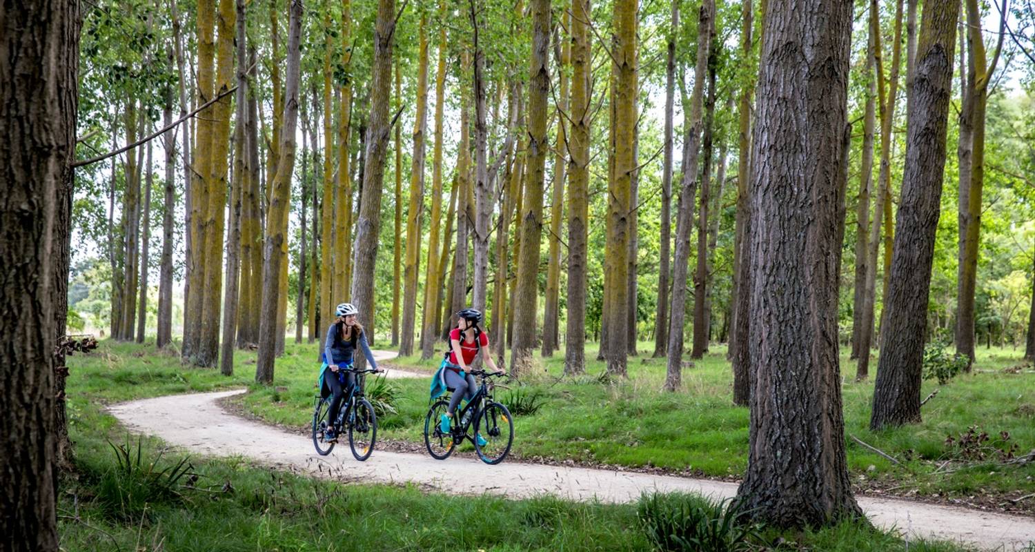 Tour de Hawkes Bay Estates - Self guided - Tour de Vines