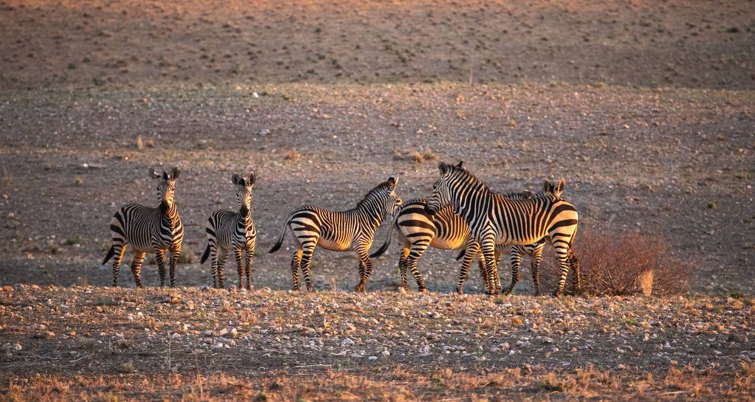 Aventure Silver Safari - Junita's Extreme Adventures Namibia cc