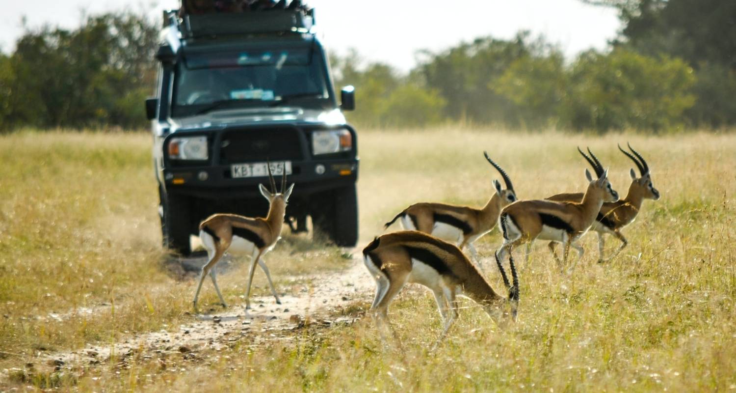 Amboseli & Masai Mara Budget Safari By 4x4 Jeep - Bonvoyage Kenya Safaris