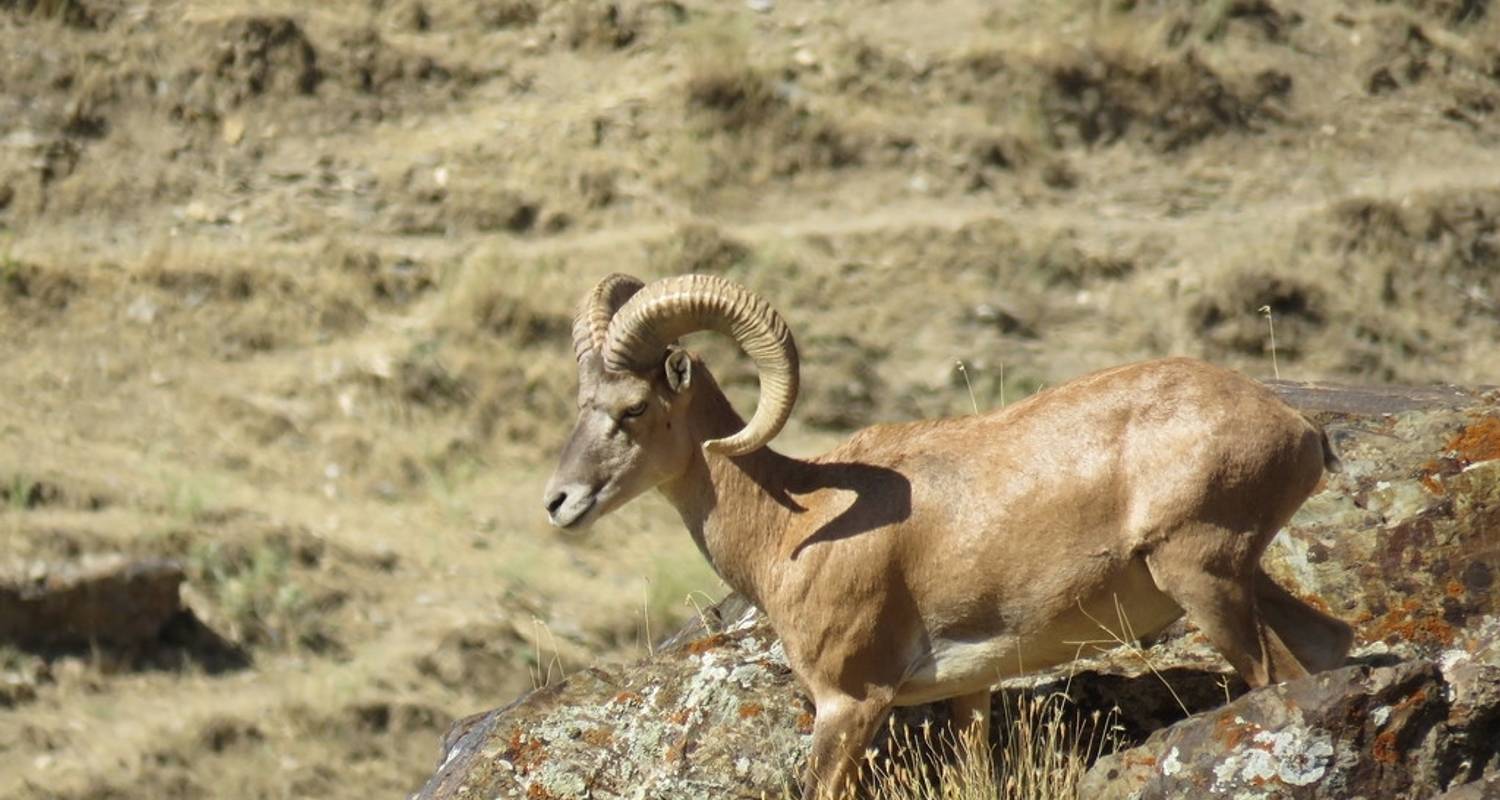 Eco-Trip in Uzbekistan: Meet the Locals - Central Asia Travel LP 