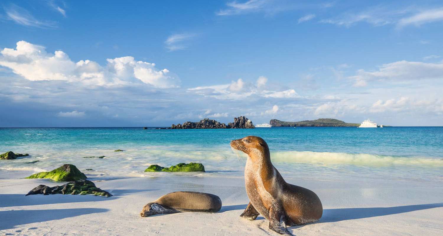 Affordable Galapagos 8 Days Tour