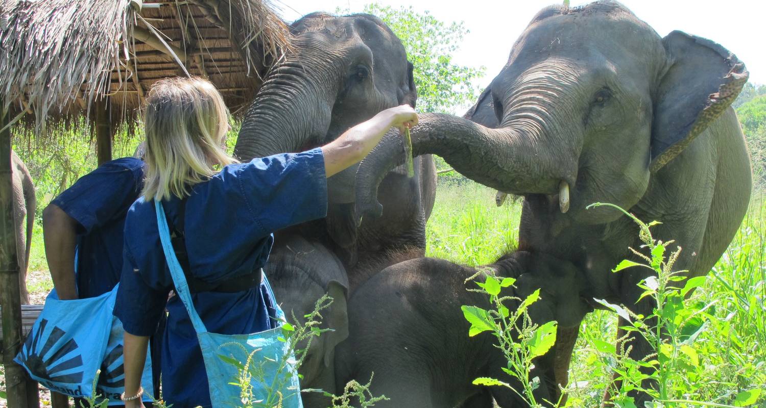 Circuit du sourire dans le nord de la Thaïlande - Discovi Travel