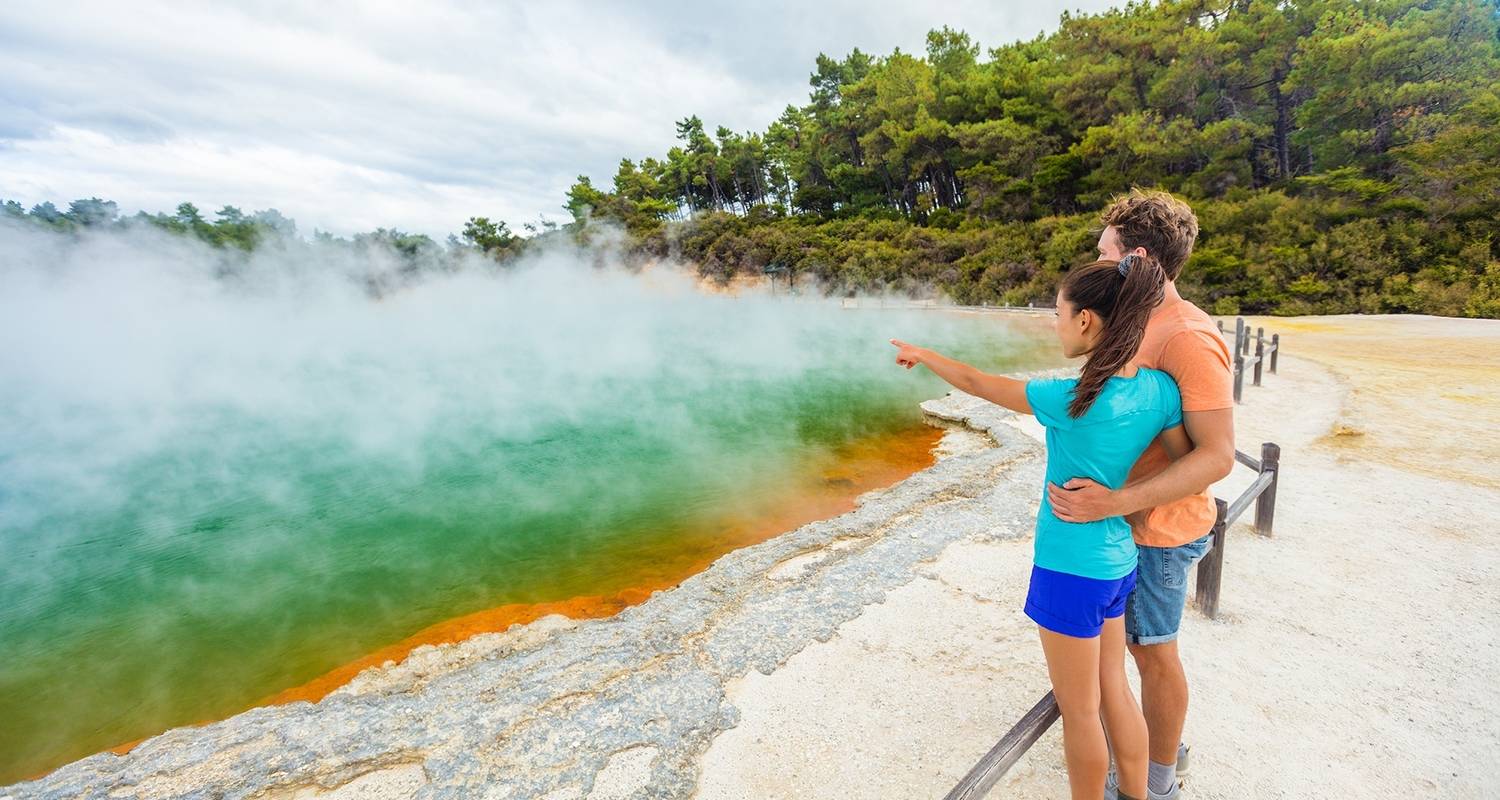 Bus Tours in New Zealand