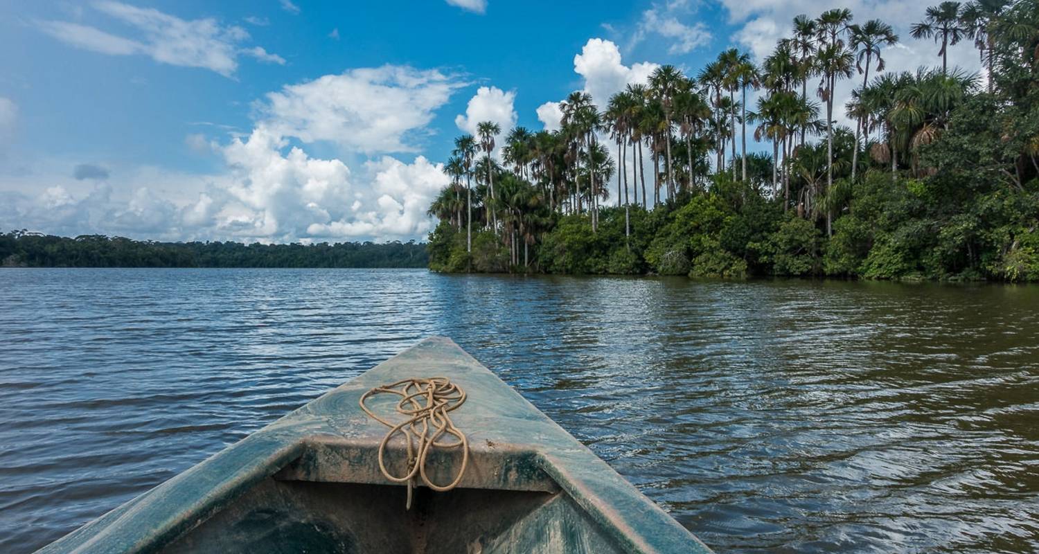 Tambopata Amazon Dschungel - 3 Tage  - PVTravels