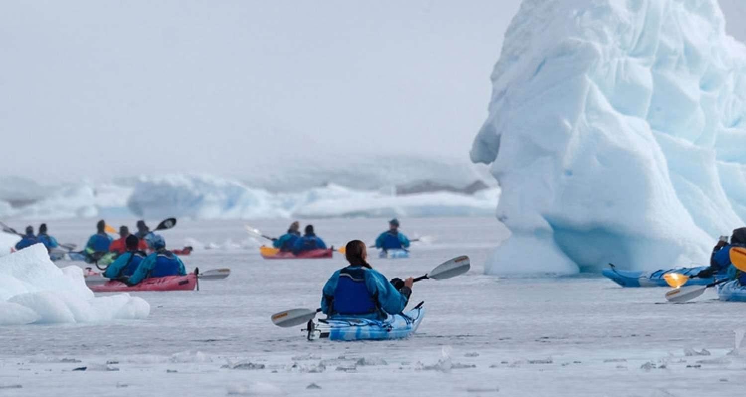 Het beste van Antarctica: Een witte kerst (Ocean Endeavour) - Intrepid Travel