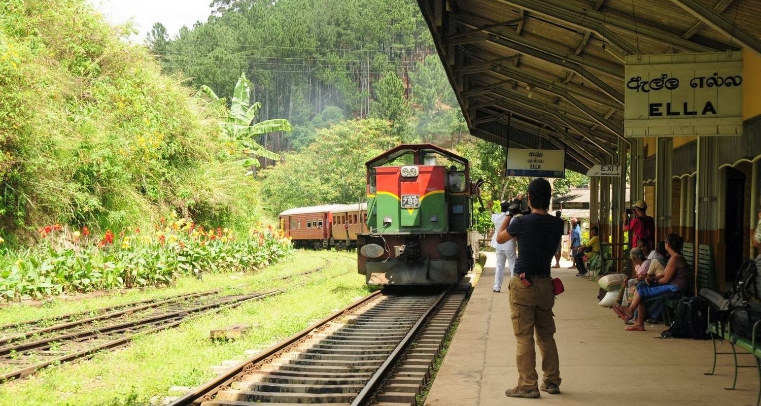Scenic Train Journey: Kandy to Nanu Oya (Nuwara Eliya)
