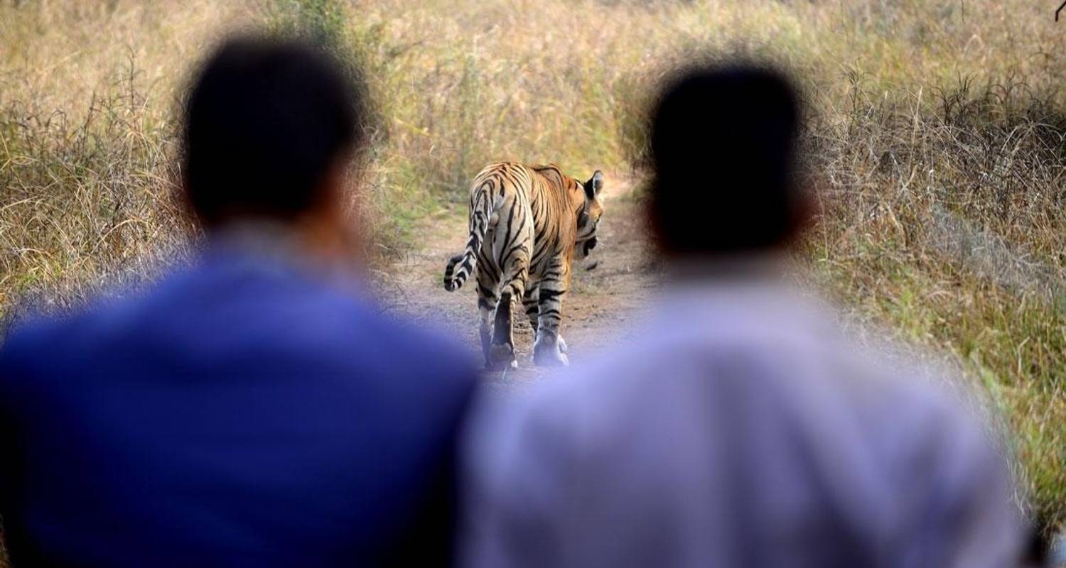 Asien Wildlife Tour