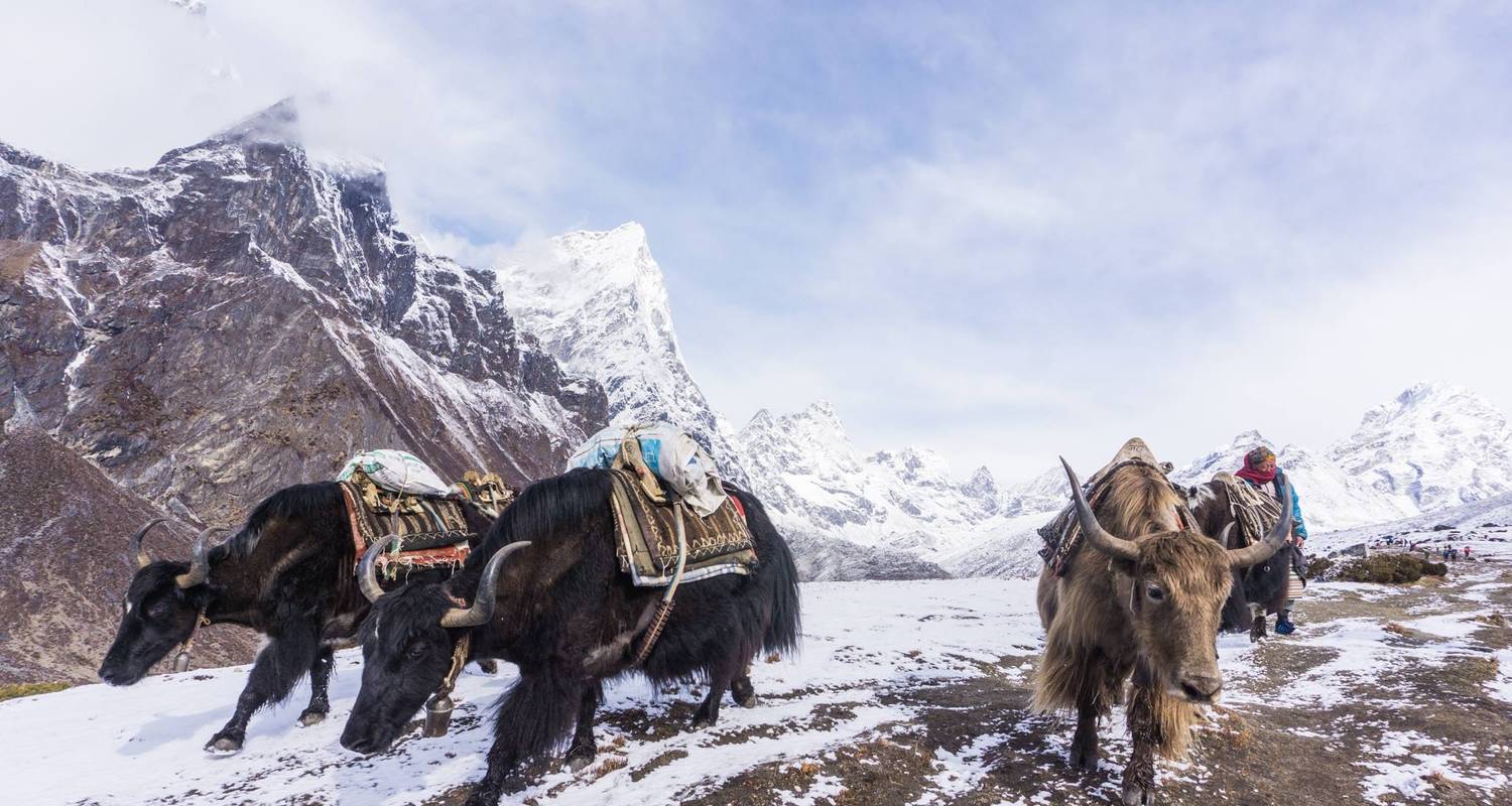 Langtang-Tal Trek - Nepal Social Treks