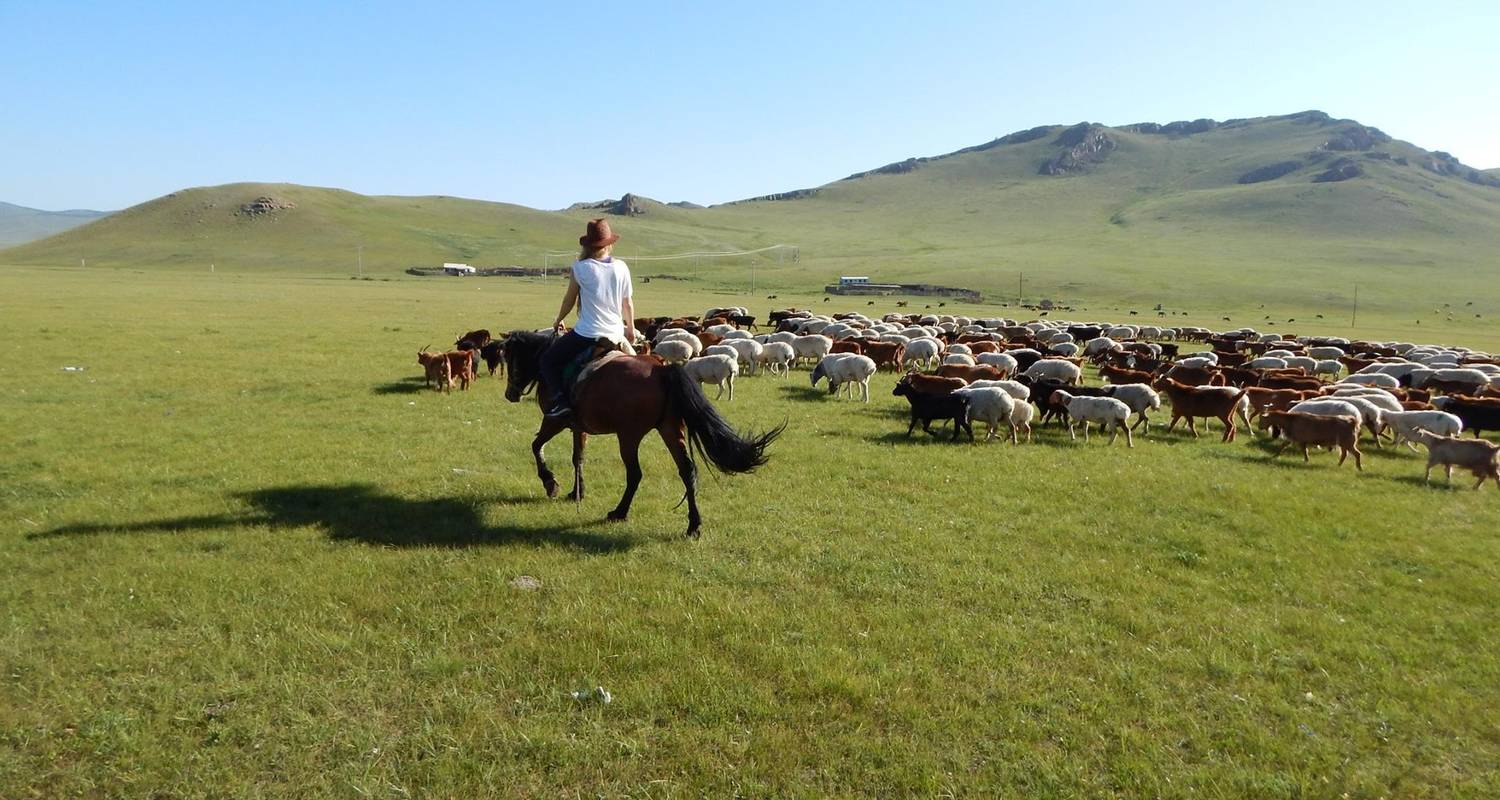 Echte Mongolei: Nomadisches Erlebnis bei Gastfamilien - 6 Tage - TTRMongolia
