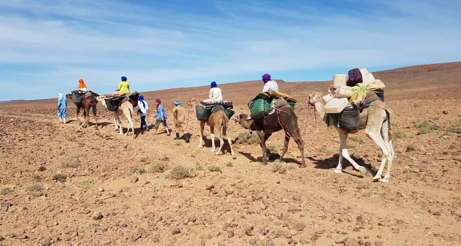 Trekkingreise Marokko - Wüstenwanderung & Kameltrekking in der Zagora Wüste - Morocco Destination Tours 