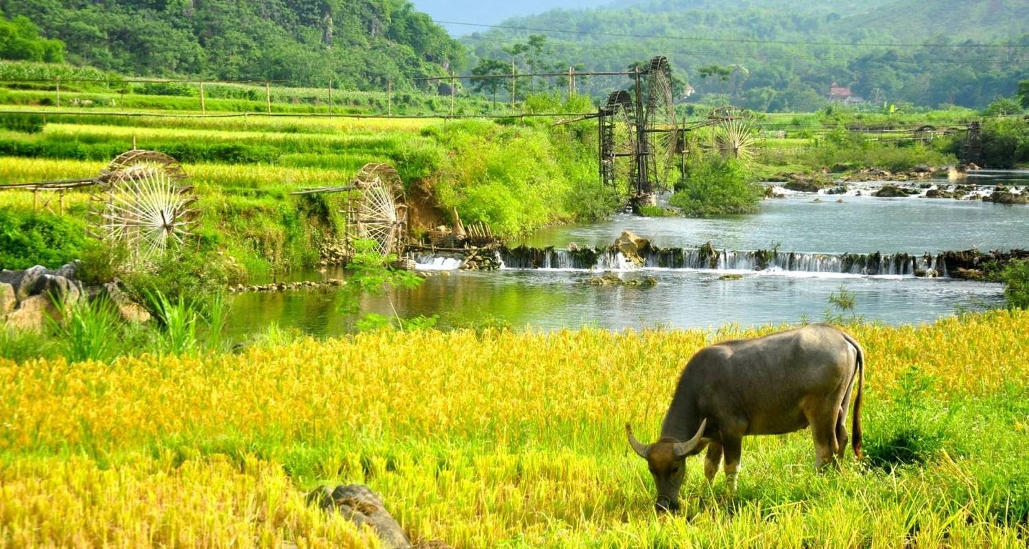 De Beste 7-daagse Rondreizen die Beginnen in Hanoi