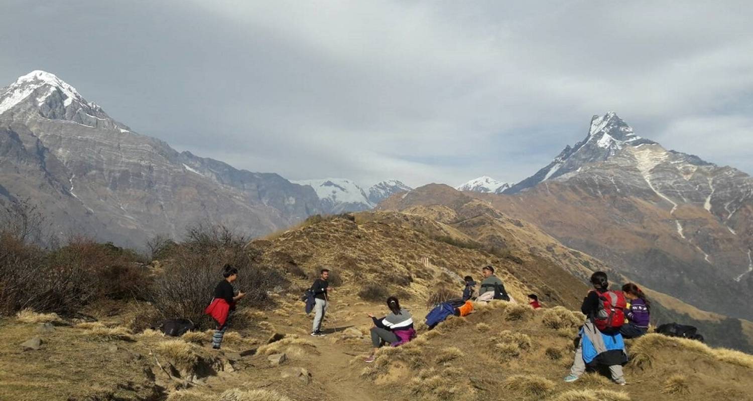trek around nepal pvt.ltd pokhara reviews
