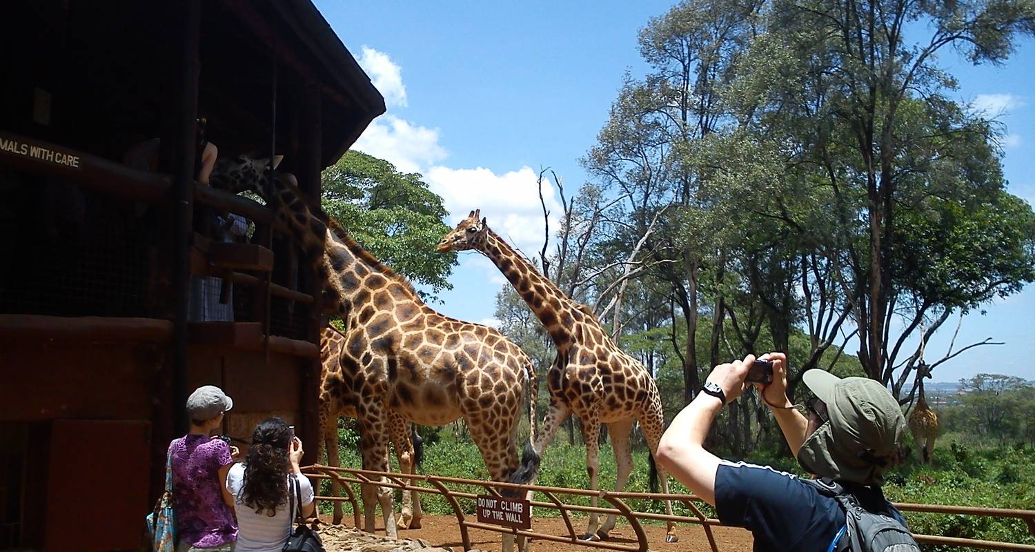 Dagtocht David Sheldrick en Giraffencentrum - All Time Safaris Ltd