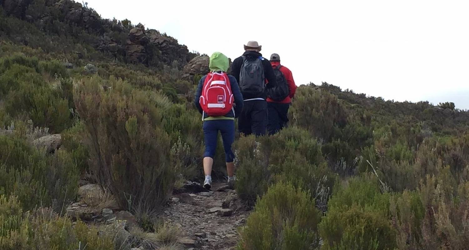 Trek d'une journée au Mont Kenya - All Time Safaris Ltd