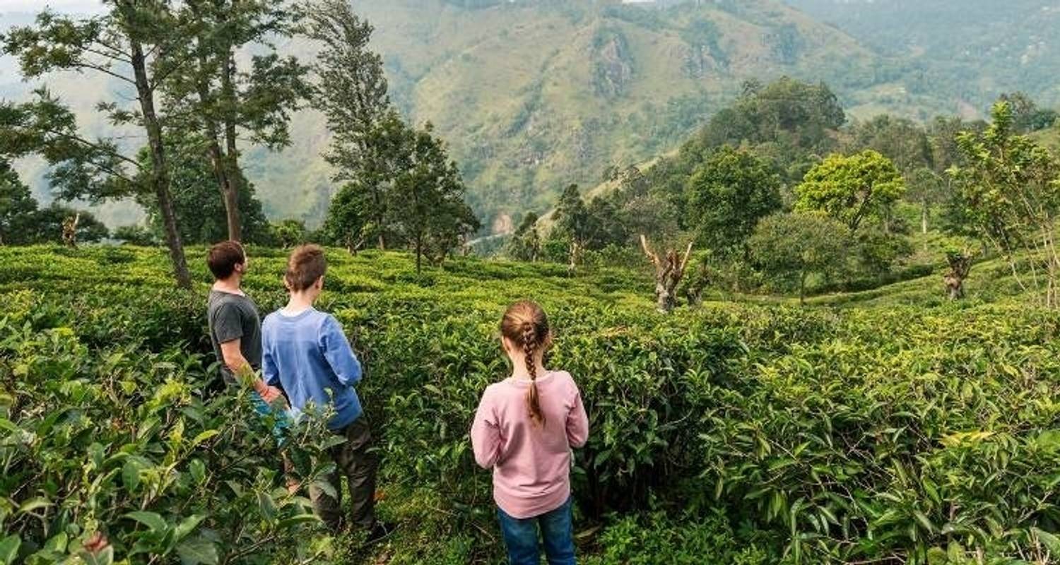 Sri Lanka sauvage et plage pour les familles - 13 jours - On The Go Tours