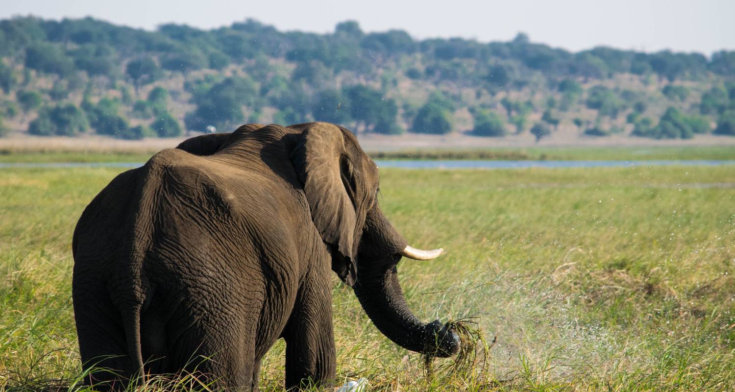 Explorer Tours & Trips in Moremi Game Reserve