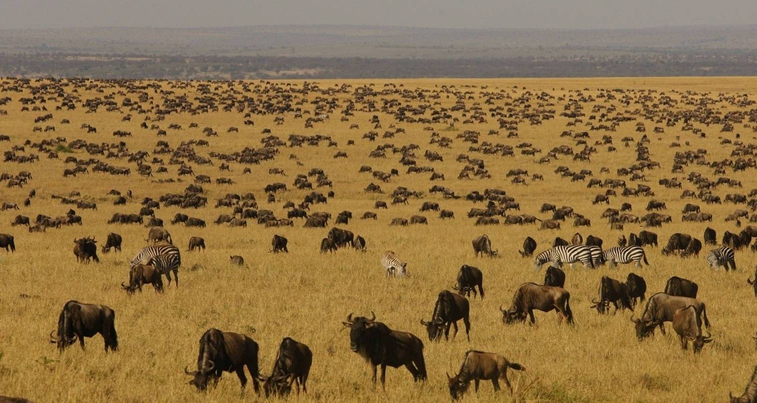 Safari privado por Tanzania: Parque Nacional de Arusha, lago Manyara, Serengeti, Tarangire y cráter del Ngorongoro - con un presupuesto Tanzania 8 días - Foot Slopes Tours & Safaris Ltd