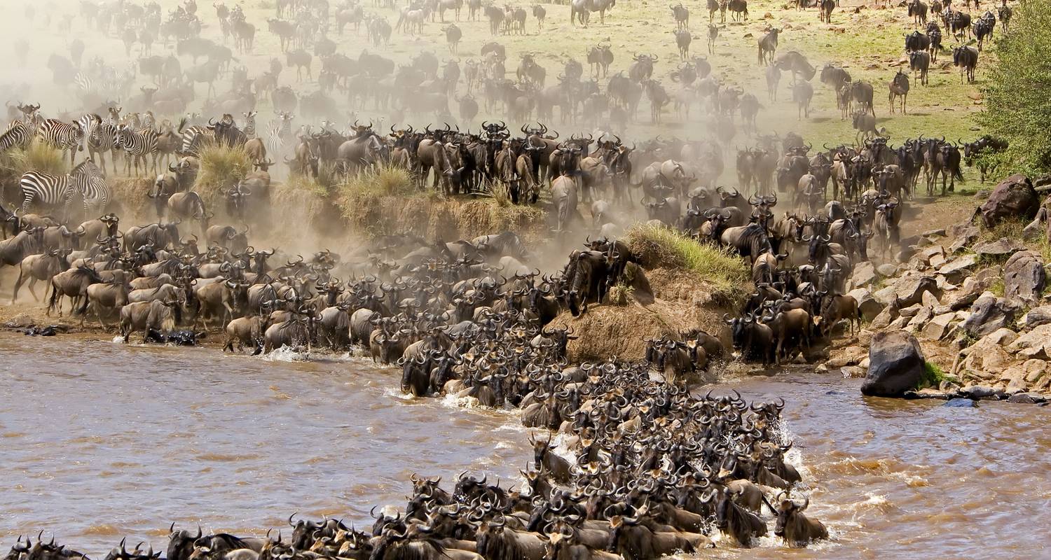 Masai Mara Safari ab Nairobi - 3 Tage, 2 Nächte (Gruppenreise) - Perfect Wilderness Tours And Safaris