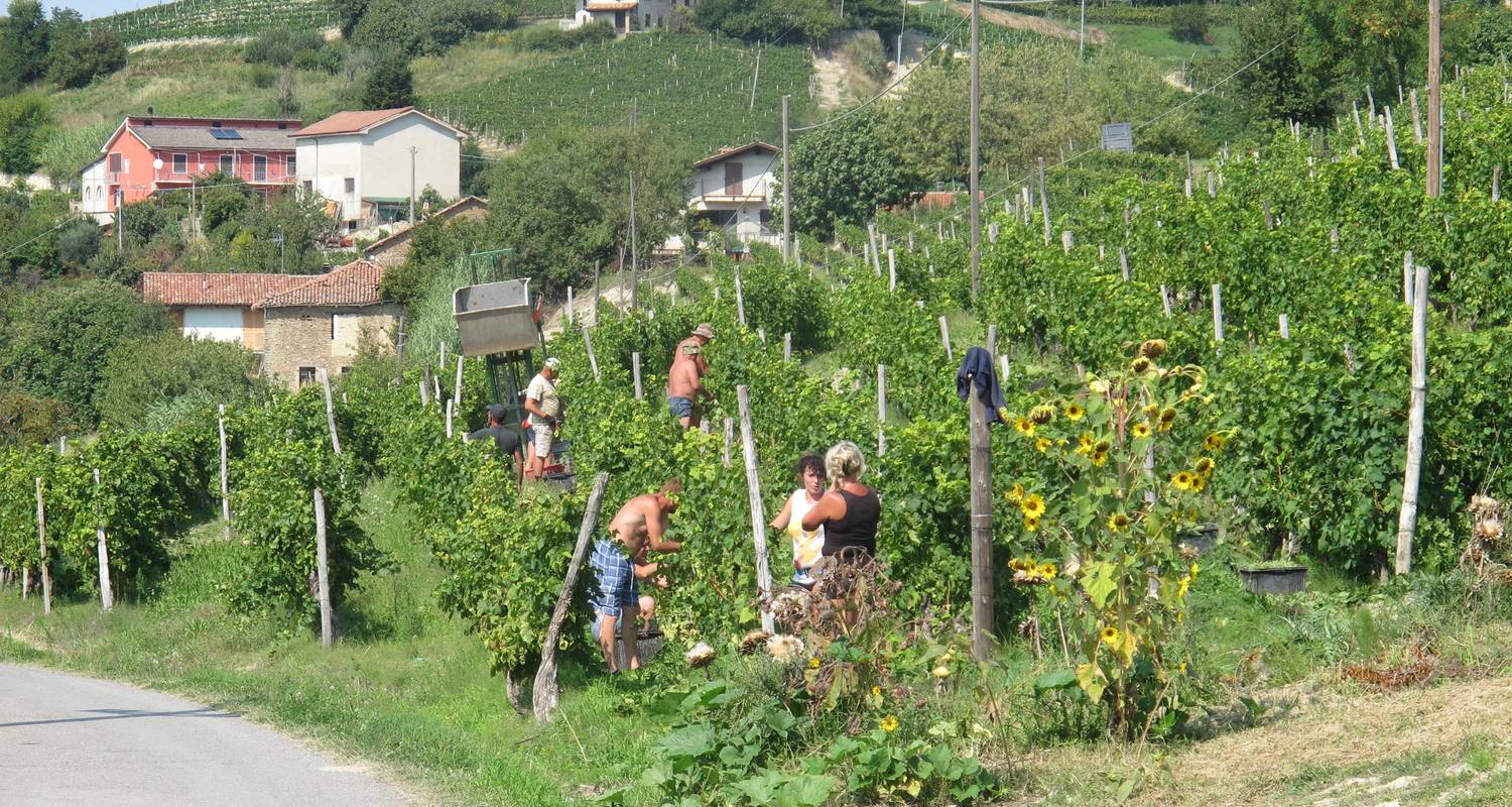 Cyclisme dans les villages viticoles du Piémont - Exodus Adventure Travels