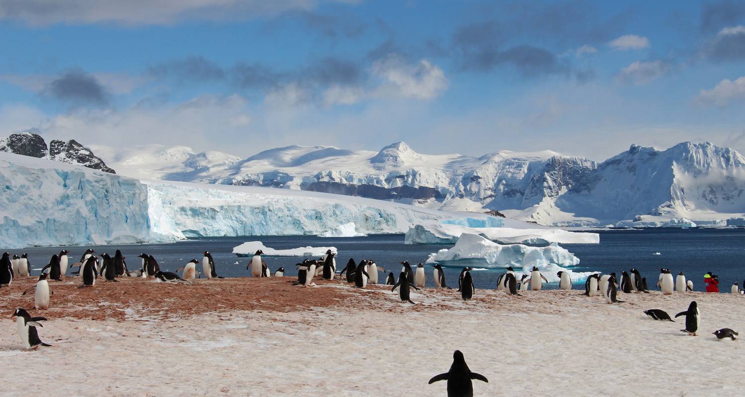 quark expeditions antarctica