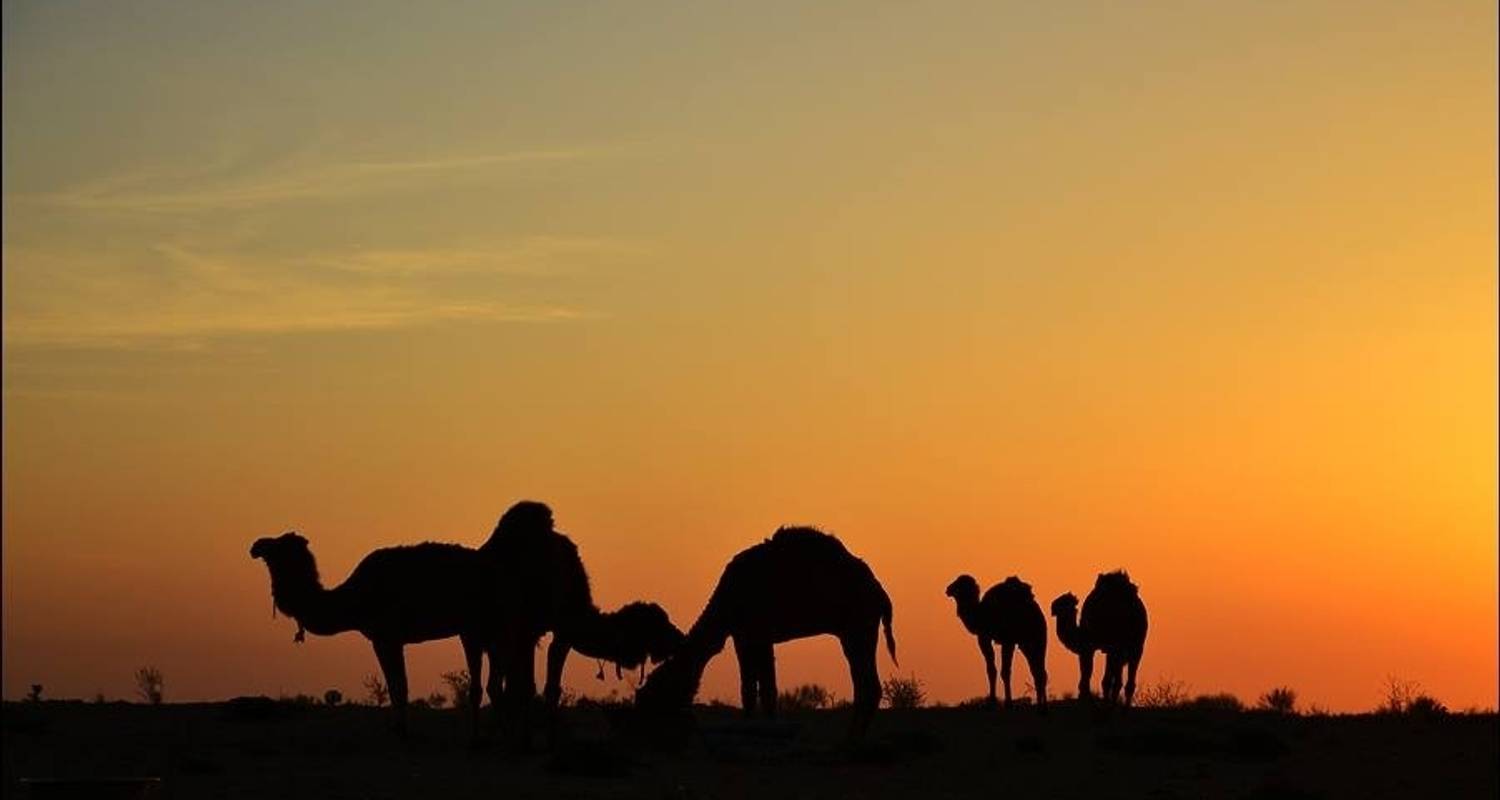 Aral Sea & Uzbekistan Legends - 12 Days