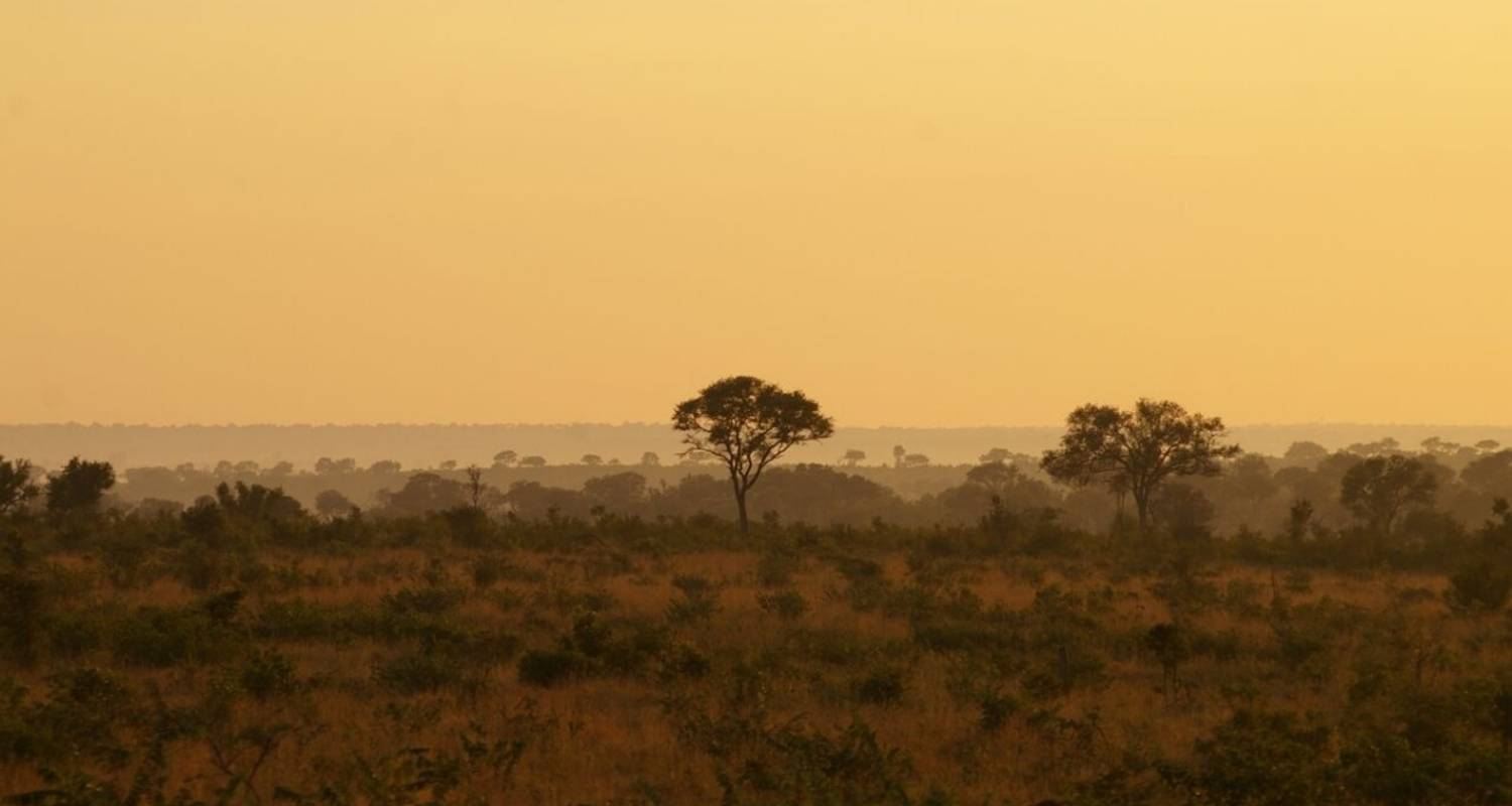 8 Days Kruger Park to Cape Town Safari - Sandy Tracks