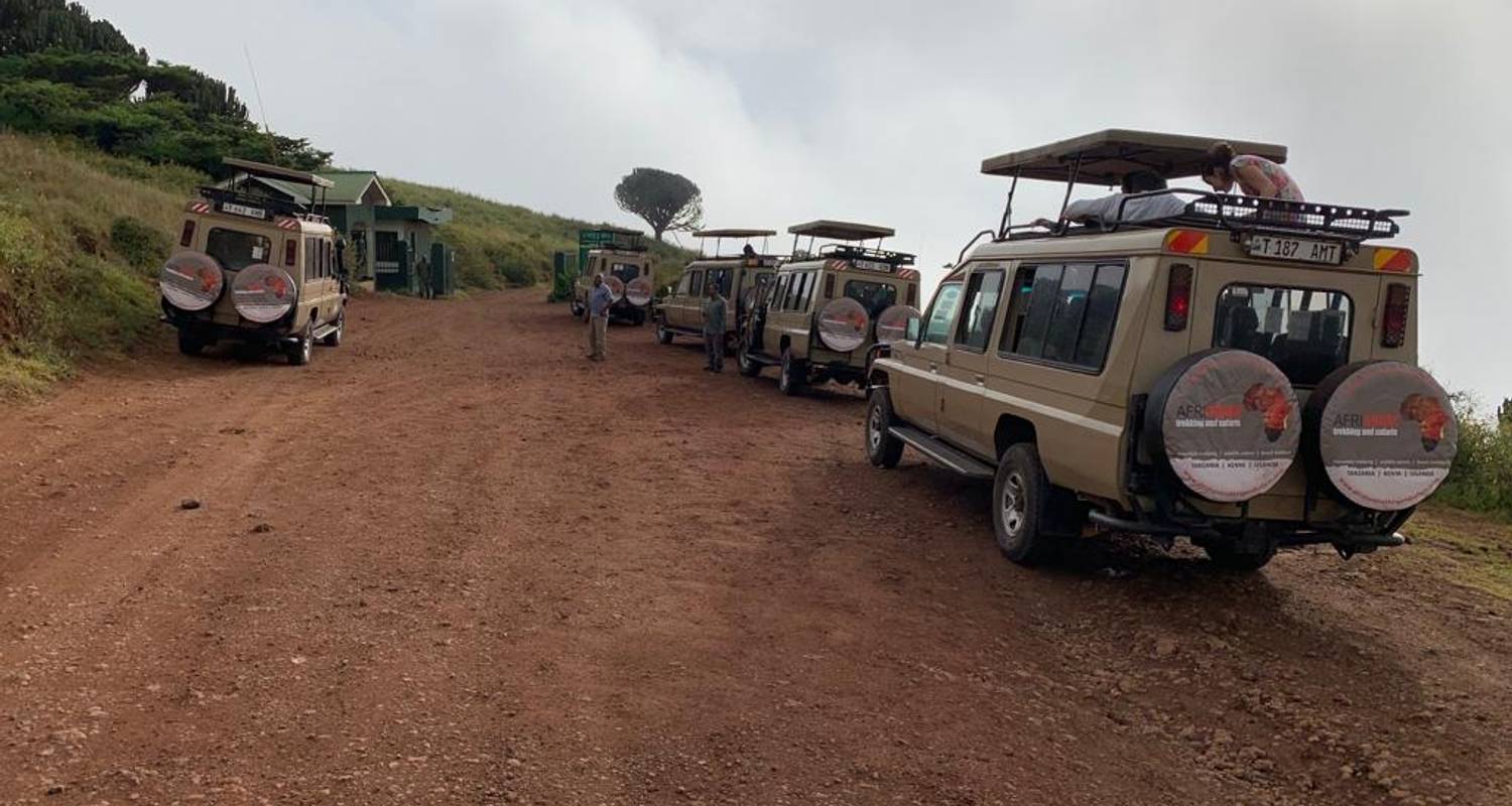 3 days Lodging  Safari -Tarangire Lake Manyara & Ngorongoro crater - Afrishare Trekking And Safaris
