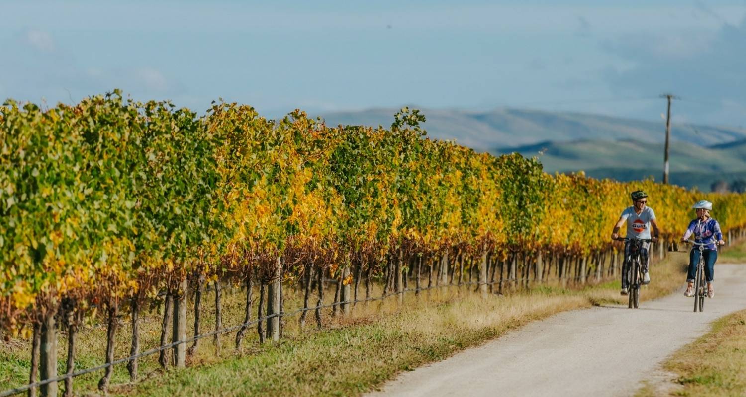 vineyard bike tour