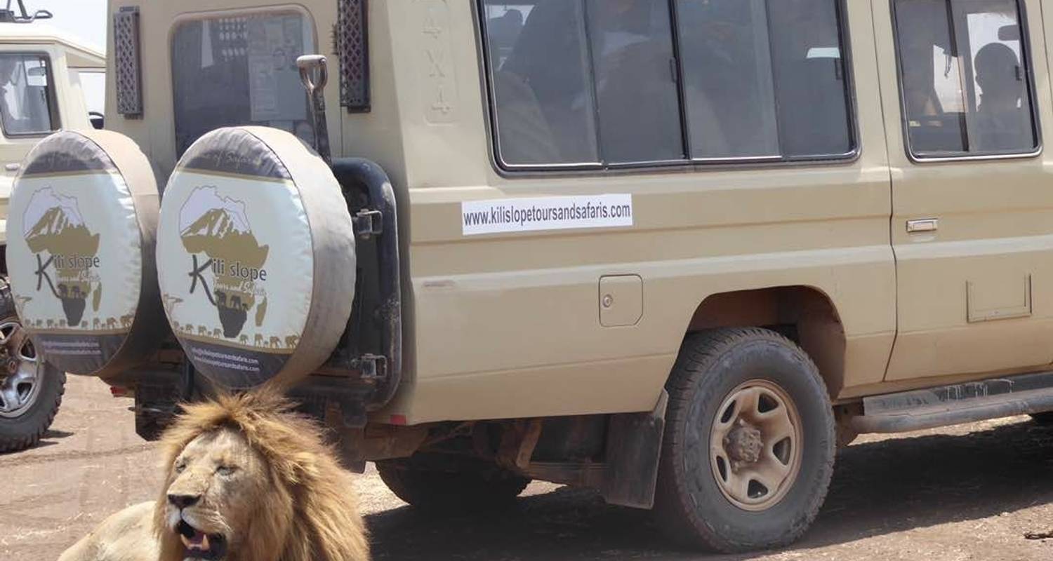 4 jours Lac Manyara / Parc national du Serengeti et cratère du Ngorongoro - Kili Slope Tours And Safaris