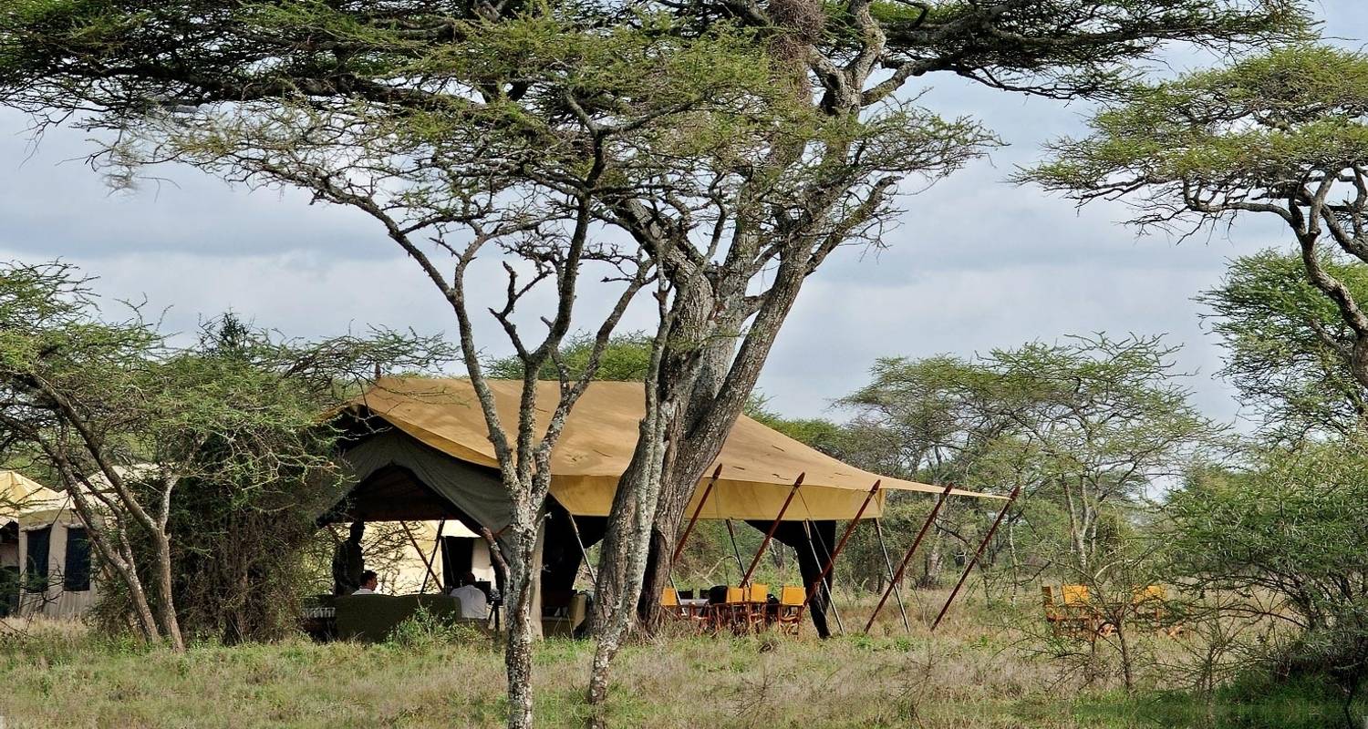 5 días de safari en campamento en Tanzania - Exodus African Safari