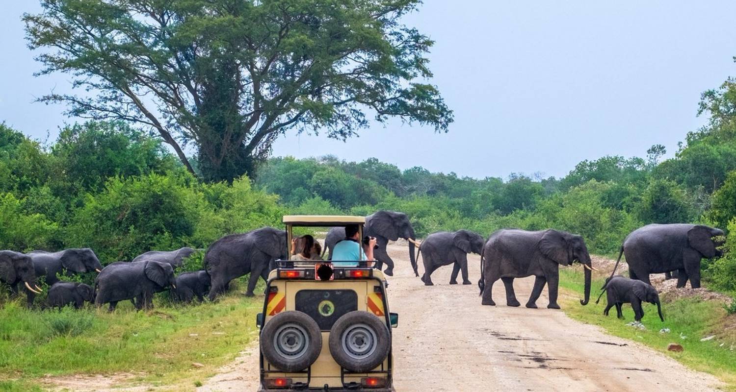 safari in uganda in may
