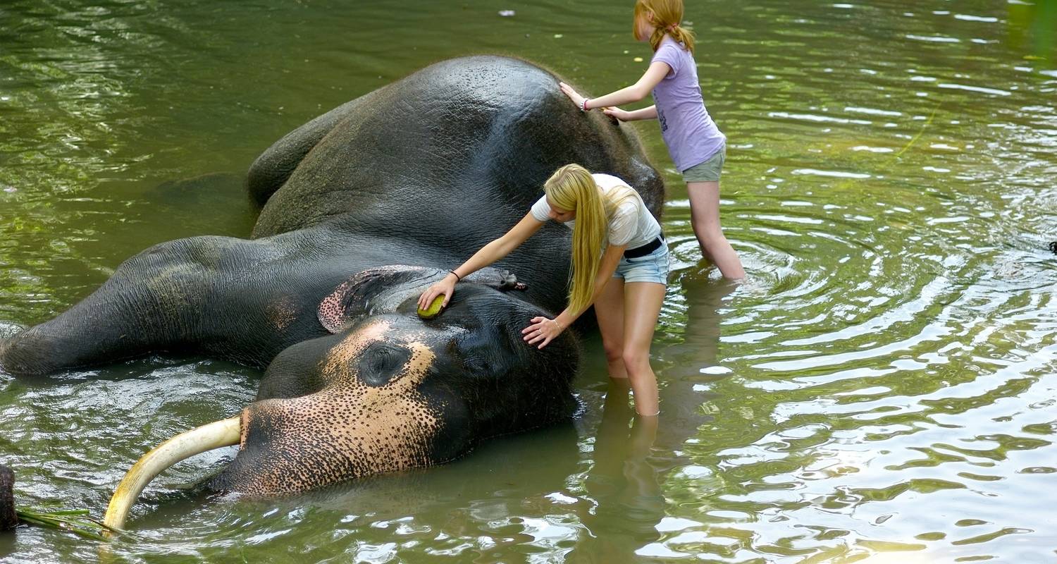 Safari-excursie in Sri Lanka – 6 dagen - Stelaran Holidays (Pvt) Ltd