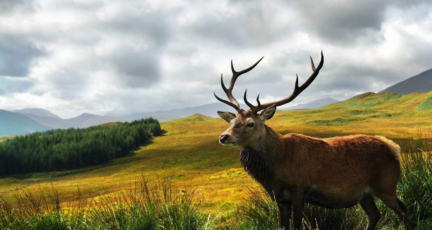 Spirit of Outlander - 16 Day Tour