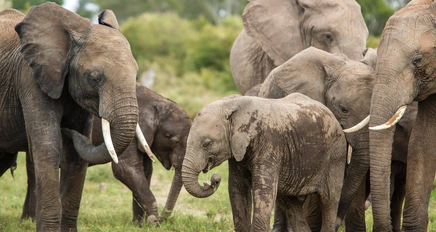 Partially Guided Tours & Trips in Amboseli National Park