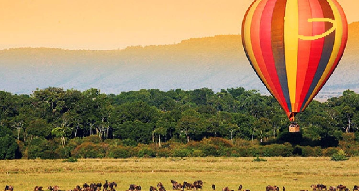 Safari privé en voiture à moyenne distance au Kenya et en Tanzanie - 7 jours - CKC Tours & Travel