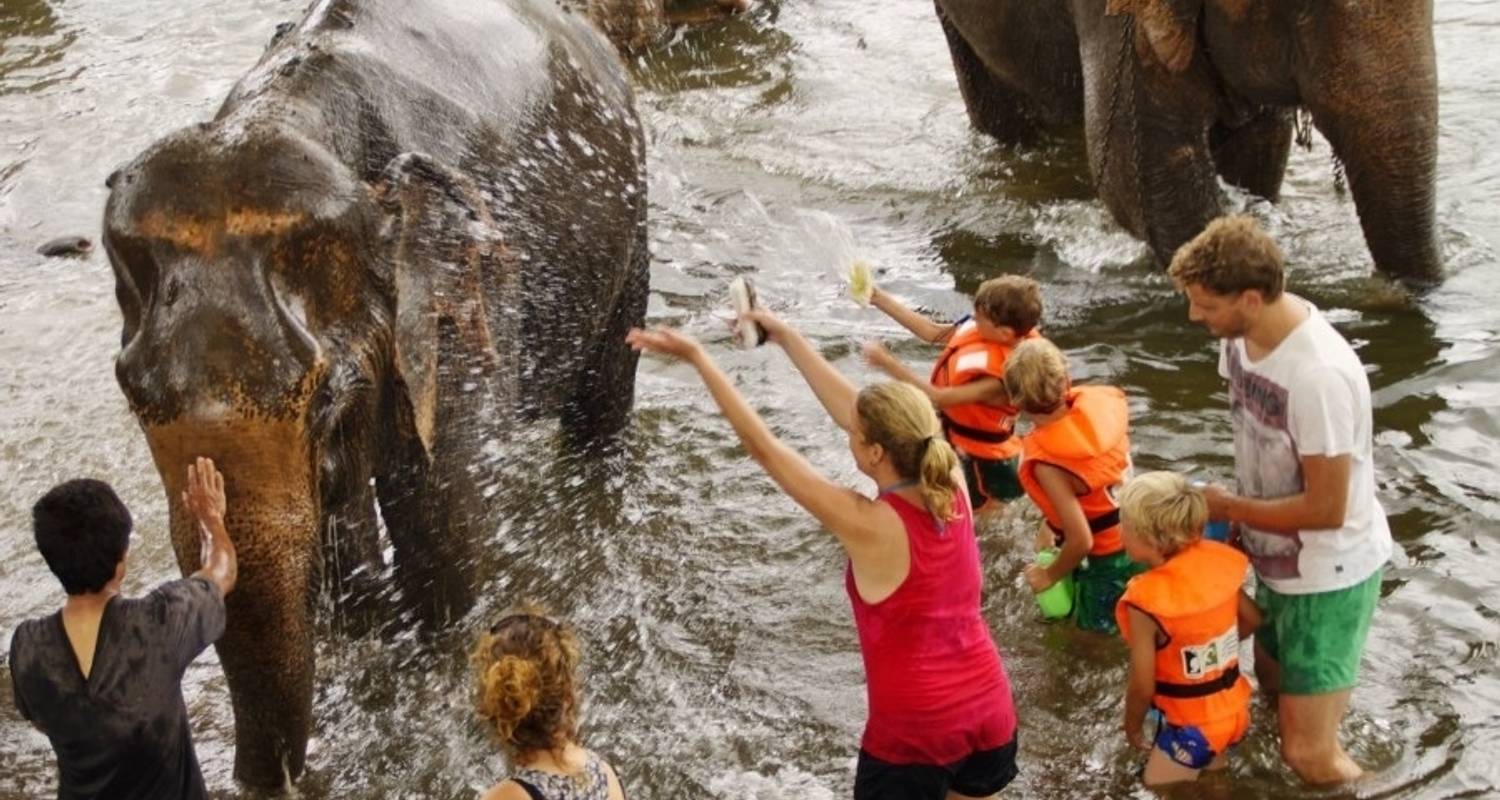 Wildlife Tours in Thailand