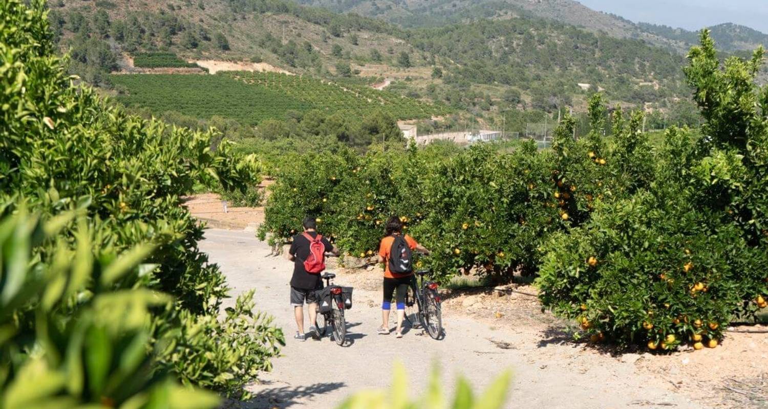 Valence Méditerranée en 4 étapes - Mediterranean Bike Tours