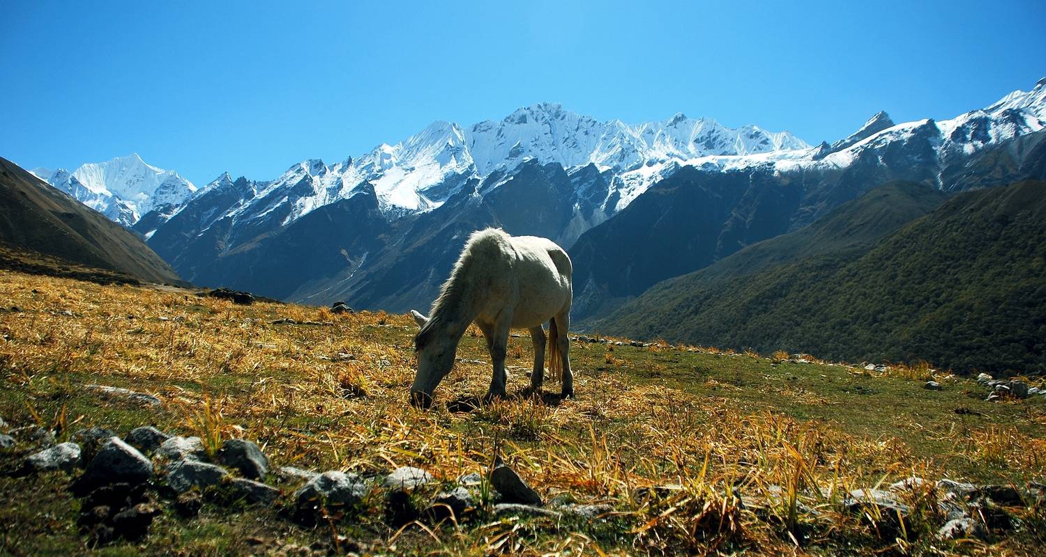 Voyages en famille – Parc national de Langtang