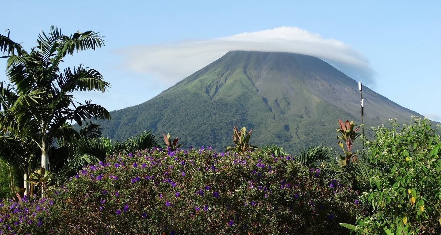 Les saveurs du Costa Rica - Tours of Distinction